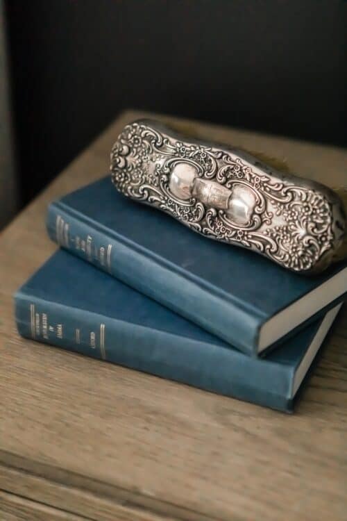 antique silver hair brush two blue books