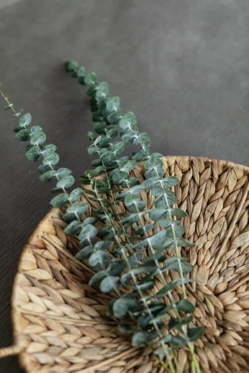 eucalyptus branches on seagrass basket LK design interior design